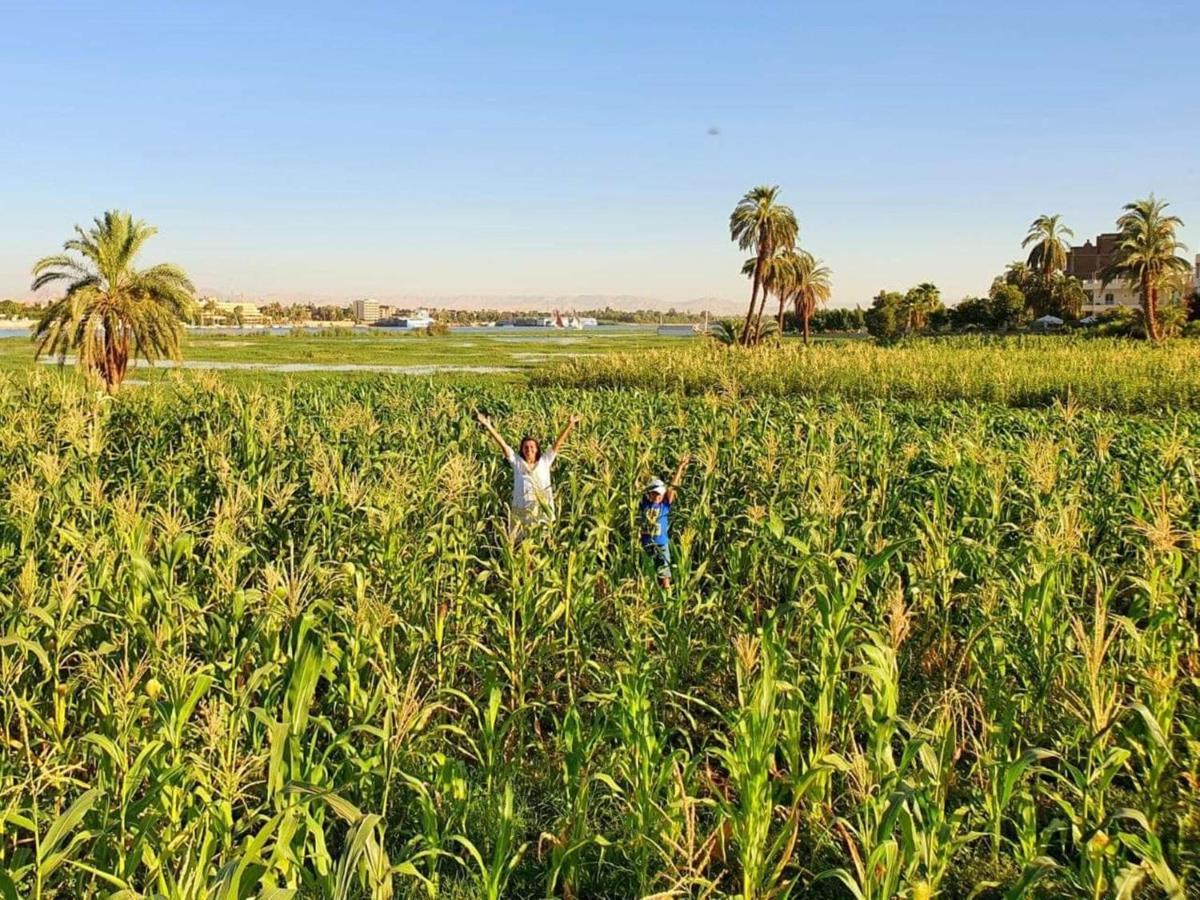 Nile Compound Hotel Luxor Esterno foto